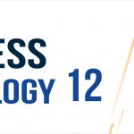 Business Technology 11