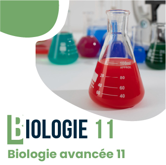 Biologie 11/Biologie avancée 11